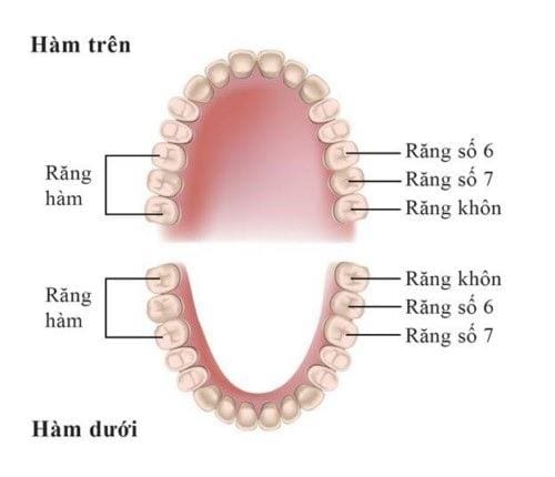 hành trình cứu chiếc răng số 6 tại nha khoa việt smile 1 Vietsmile cuu rang ham so 6