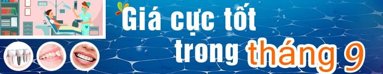 nha khoa việt smile - tỏa sáng nụ cười việt 18 T9.