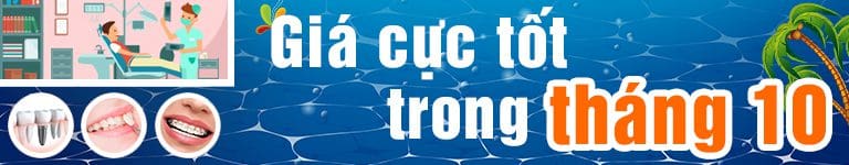 nha khoa việt smile - tỏa sáng nụ cười việt 18 0000