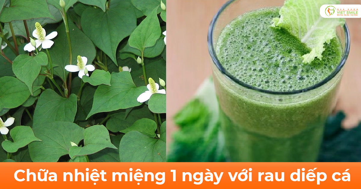 Chữa nhiệt miệng 1 ngày với rau diếp cá